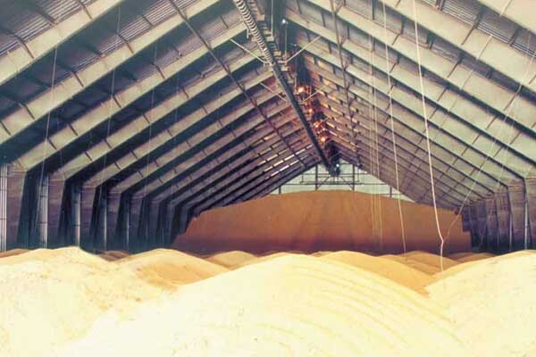 BLDG pic10