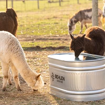 Livestock Watering System Basics